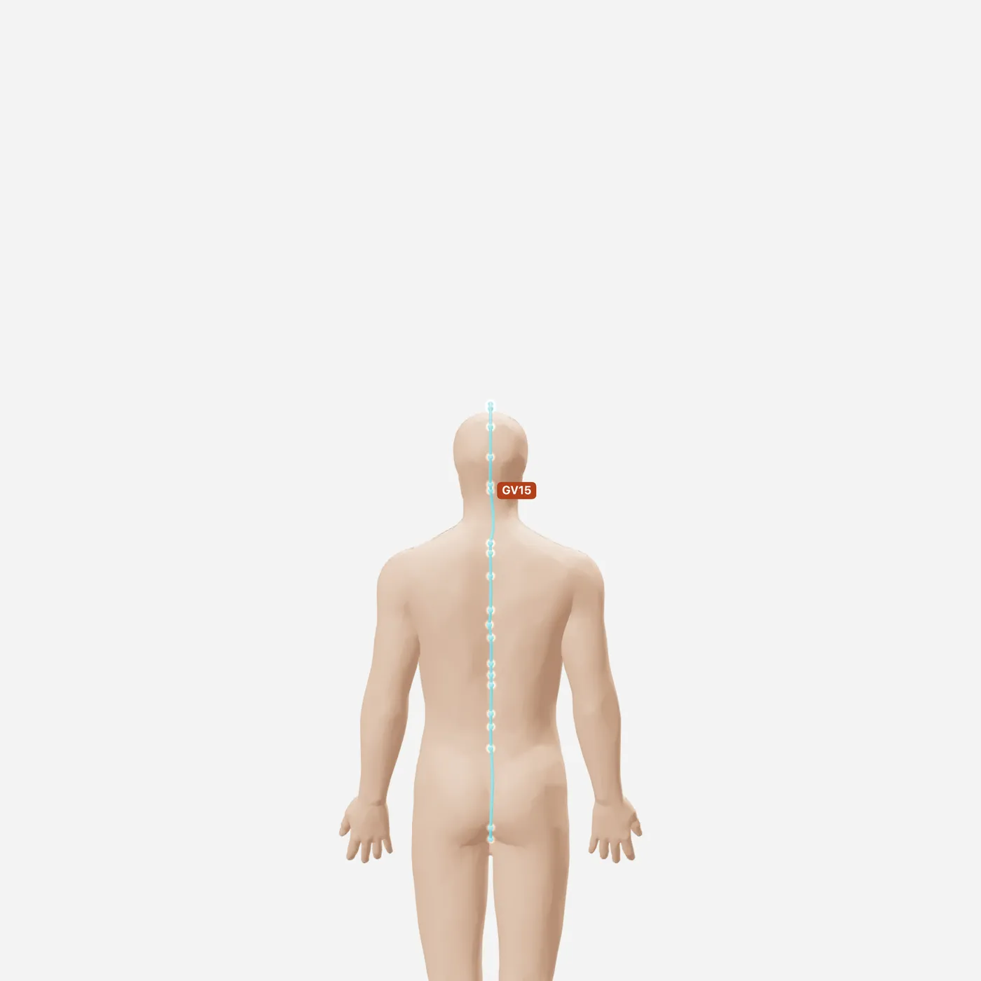Huyệt Á Môn — toàn đường kinh