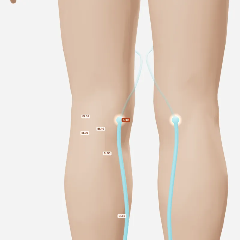 Huyệt Âm Cốc — huyệt lân cận