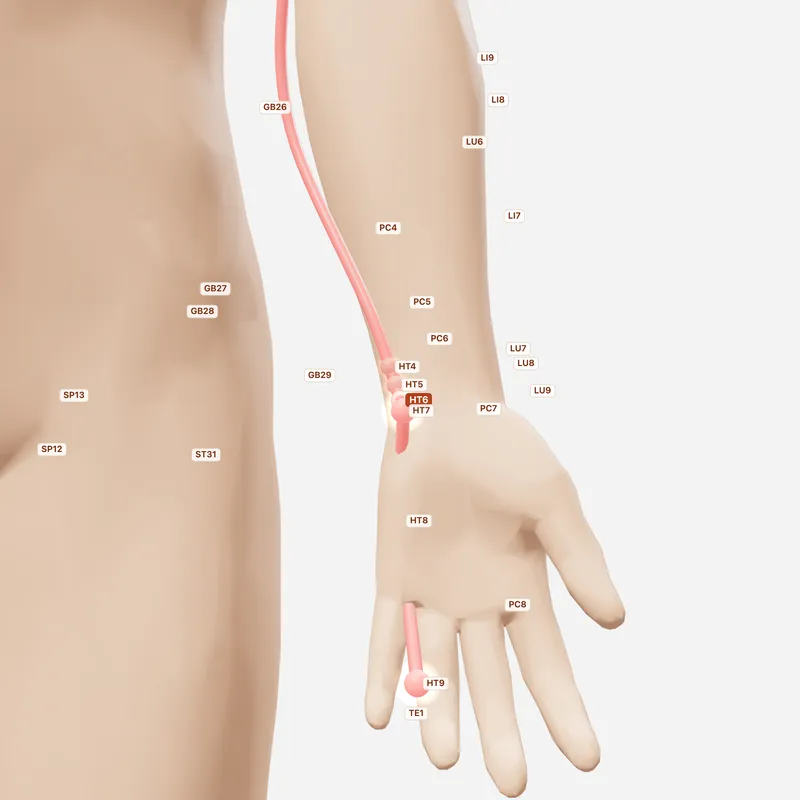 Huyệt Ẩm Khích — huyệt lân cận