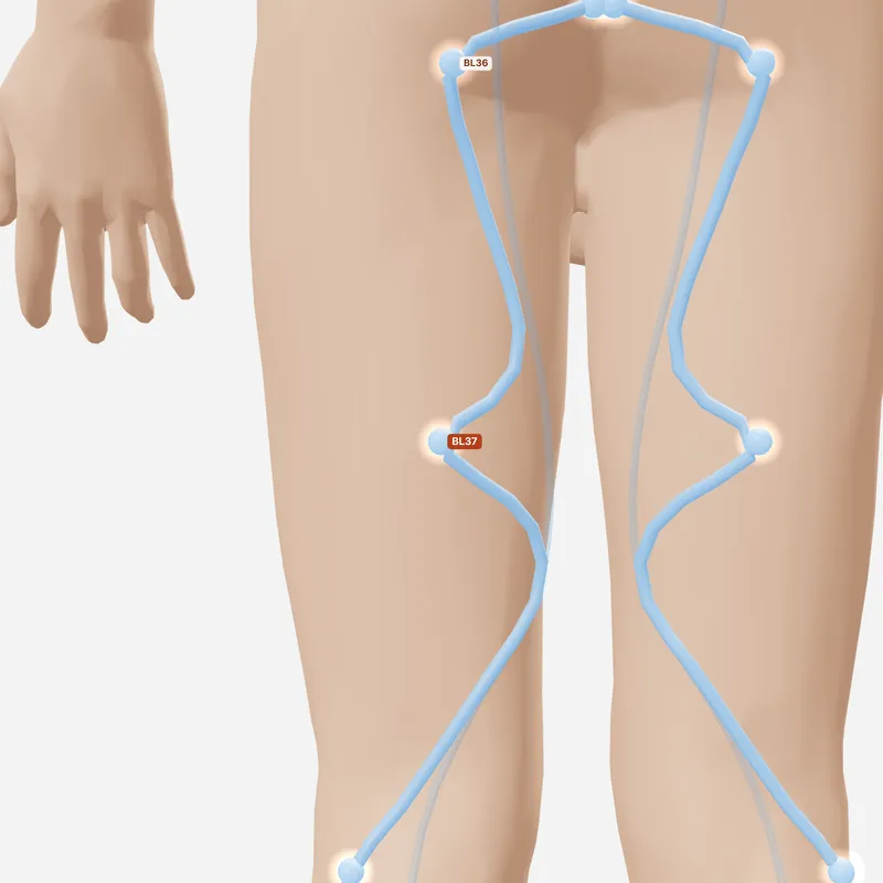 Huyệt Ân Môn — huyệt lân cận