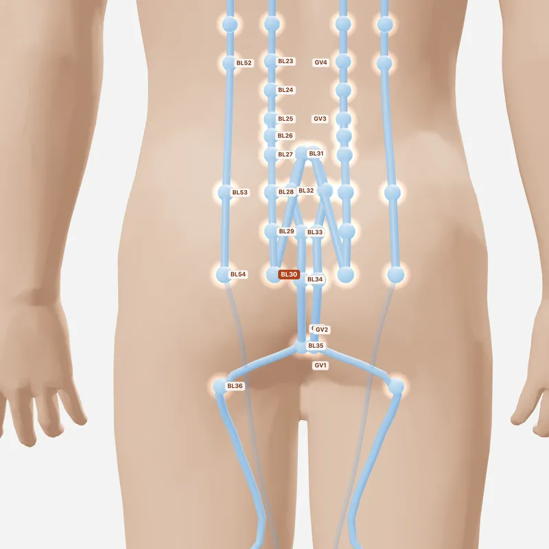 Huyệt Bạch Hoàn Du — huyệt lân cận
