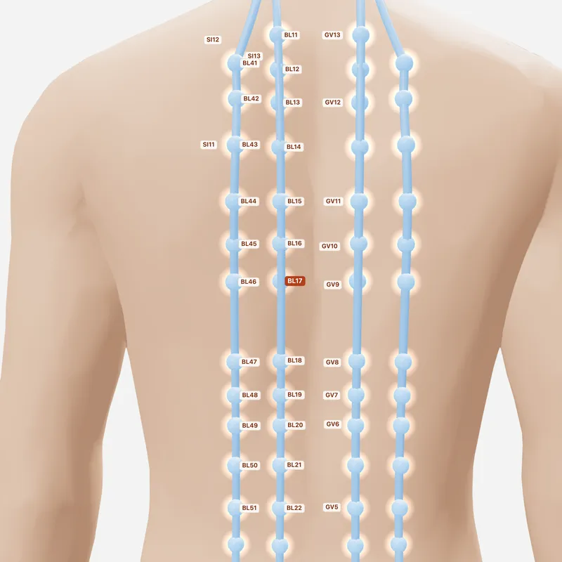 Huyệt Cách Du — huyệt lân cận