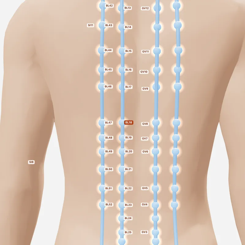 Huyệt Can Du — huyệt lân cận