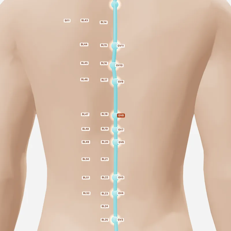 Huyệt Cân Súc — huyệt lân cận
