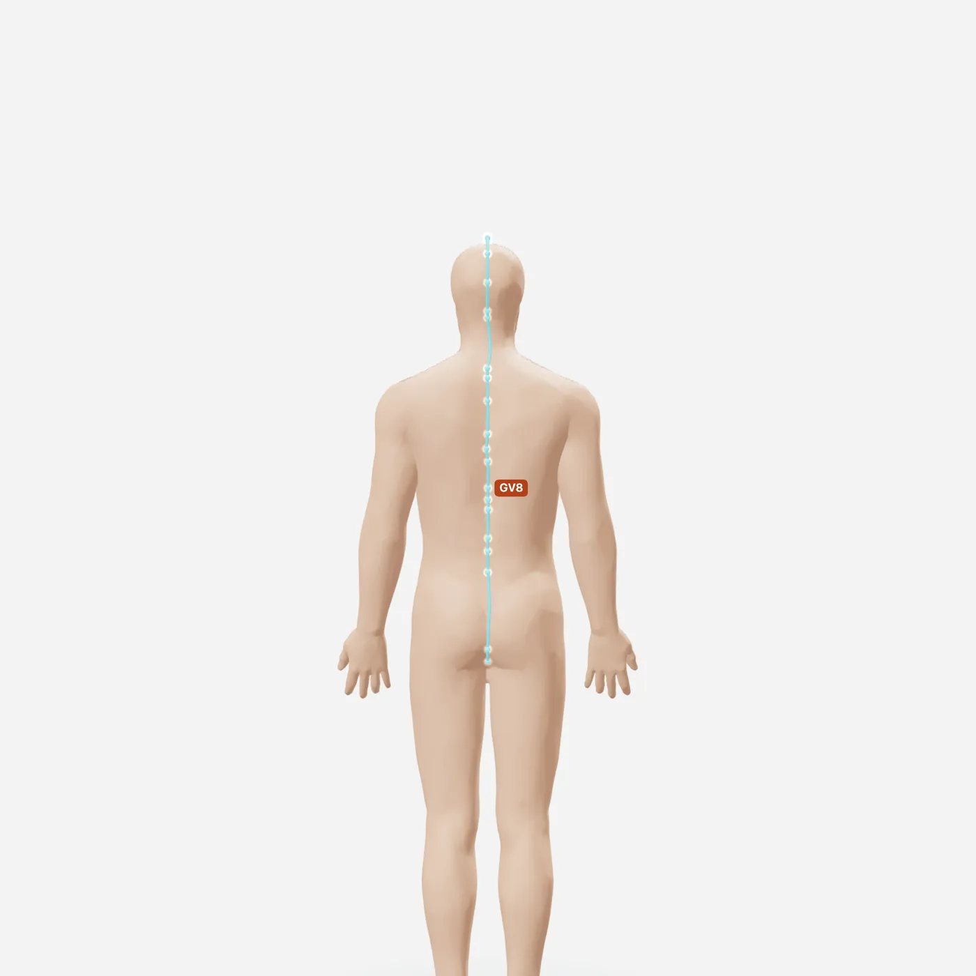 Huyệt Cân Súc — toàn đường kinh