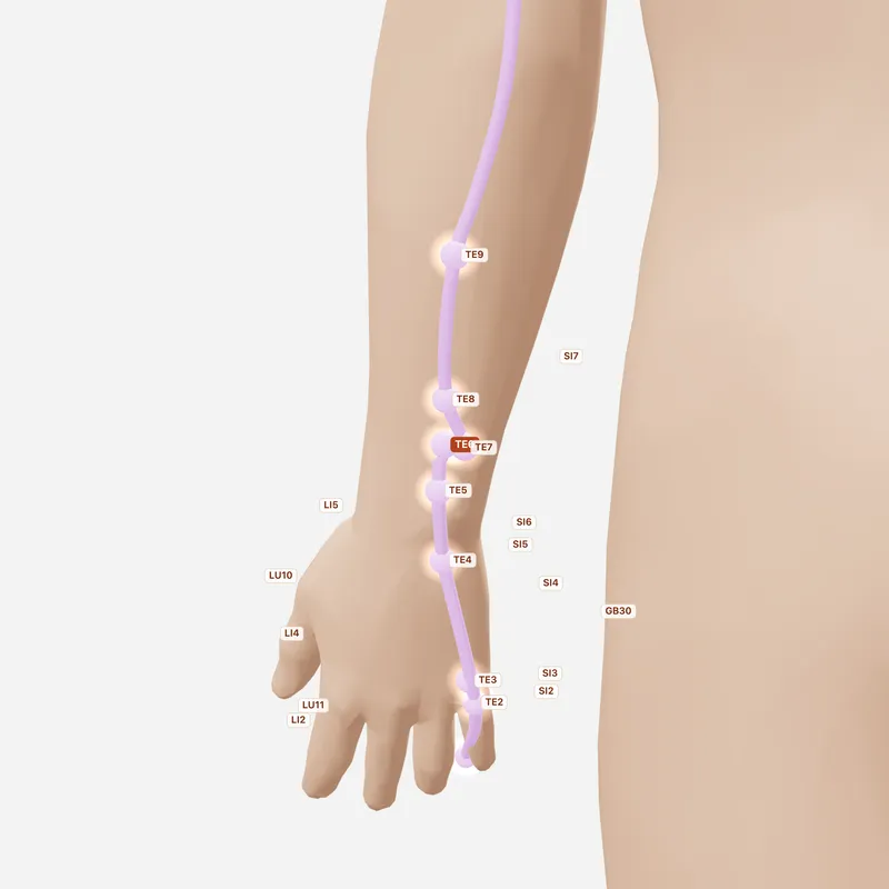 Huyệt Chi Câu — huyệt lân cận