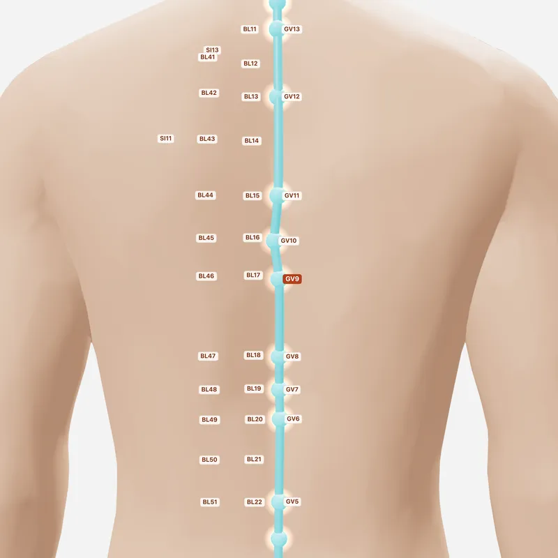Huyệt Chí Dương — huyệt lân cận