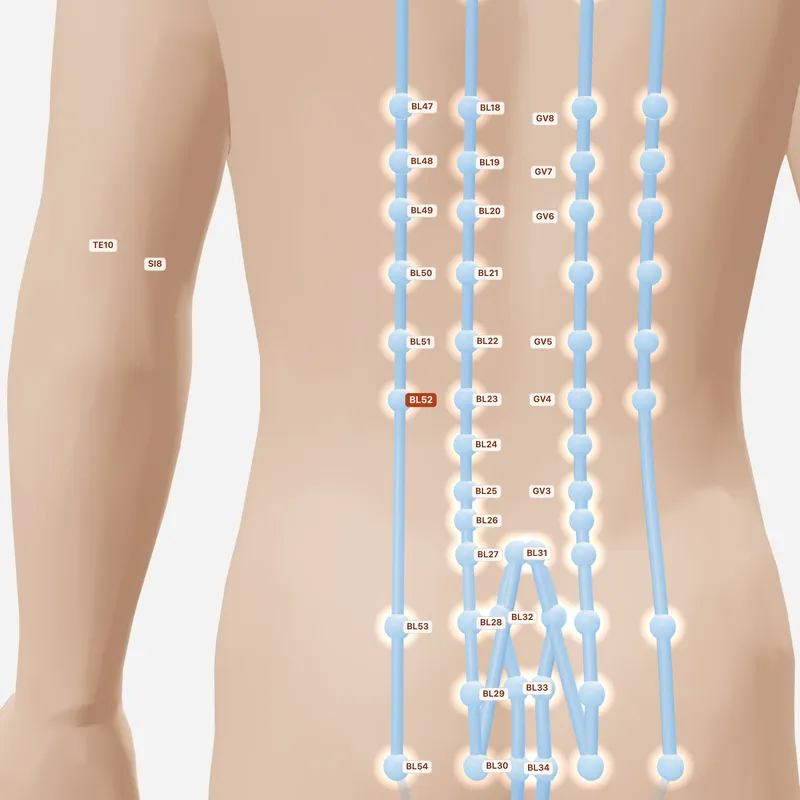 Huyệt Chí Thất — huyệt lân cận