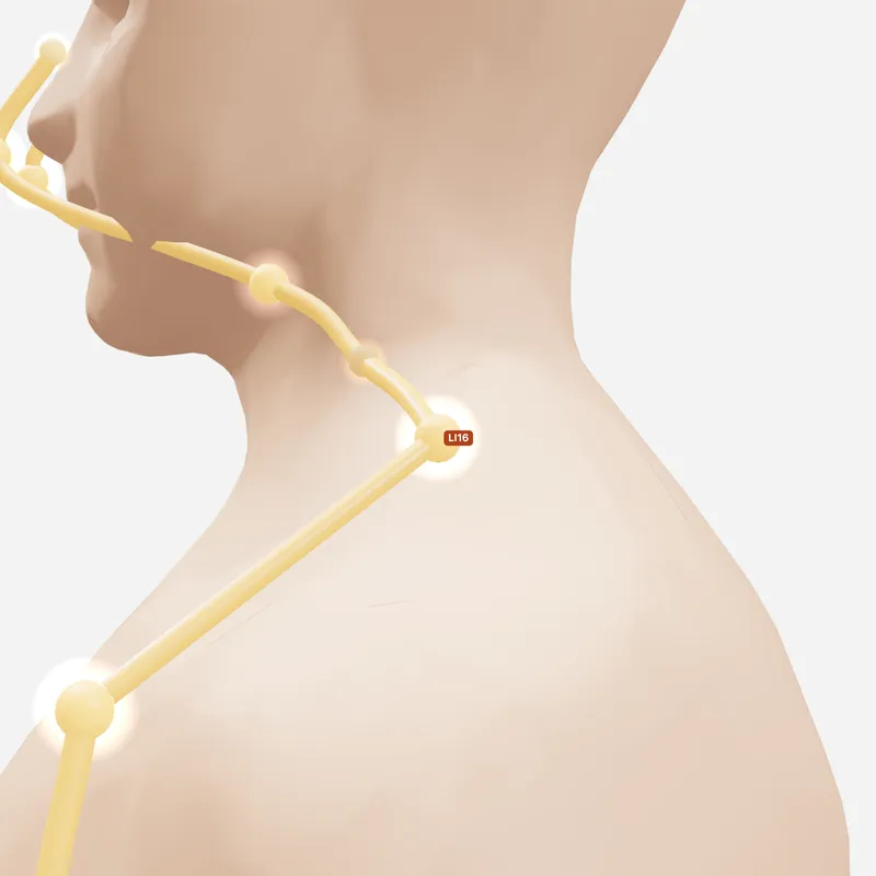Huyệt Cự Cốt — trên da