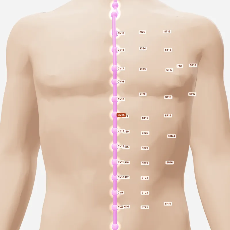 Huyệt Cự Khuyết — huyệt lân cận