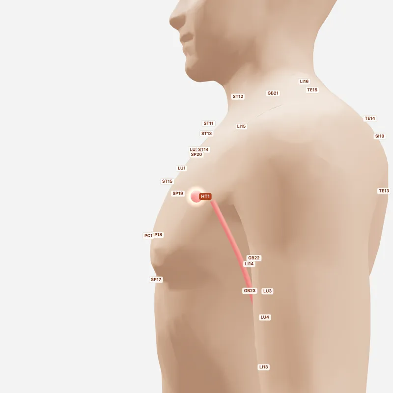 Huyệt Cực Tuyền — huyệt lân cận