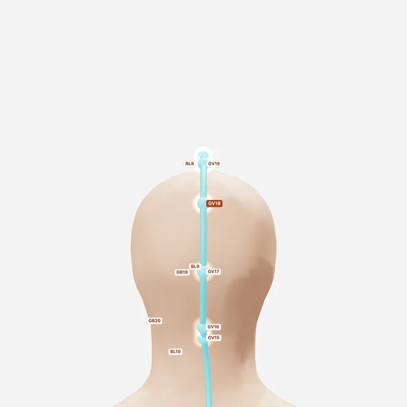 Huyệt Cường Gian — huyệt lân cận
