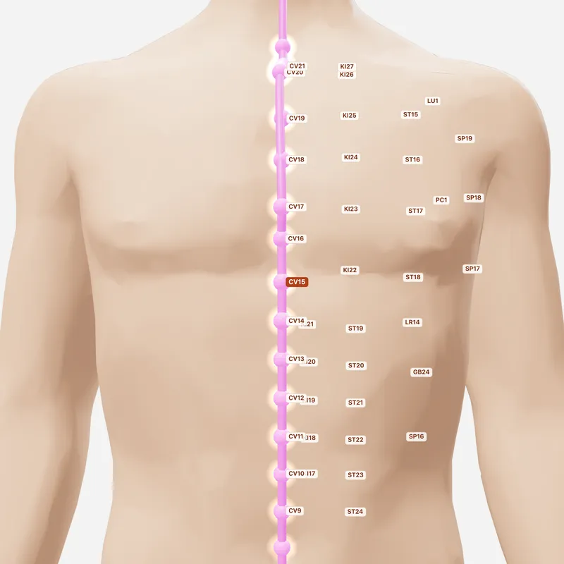 Huyệt Cưu Vĩ — huyệt lân cận