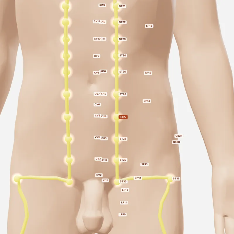 Huyệt Đại Cự — huyệt lân cận