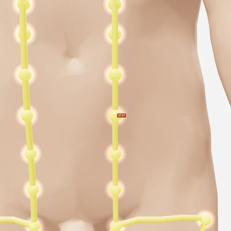 Huyệt Đại Cự — trên da