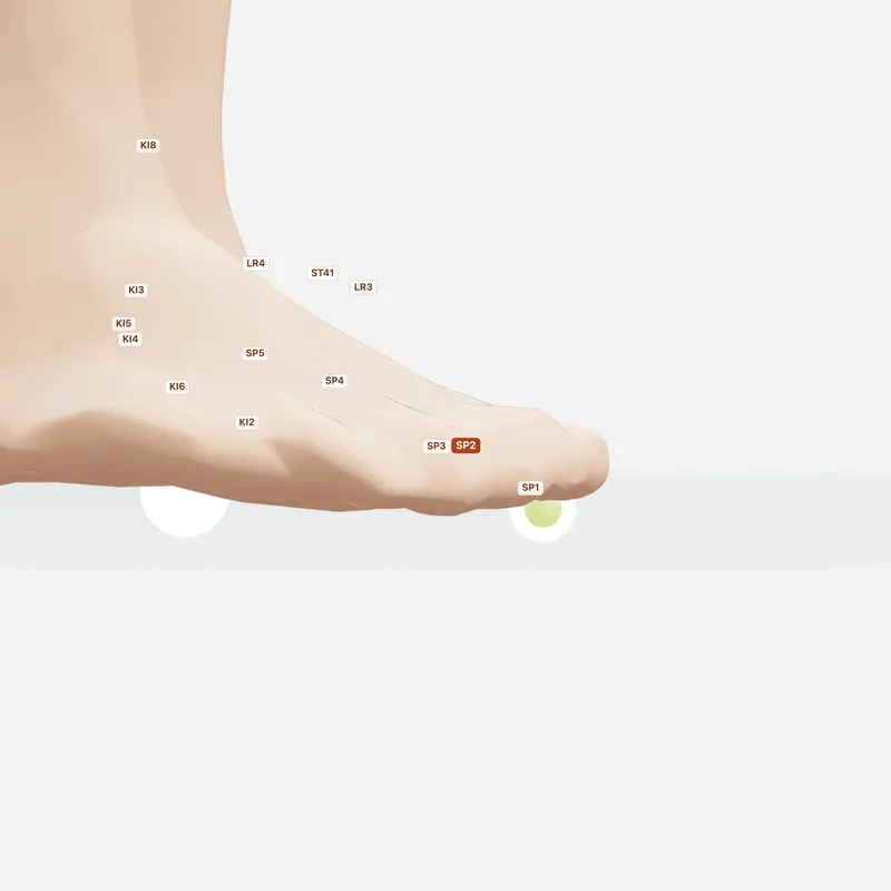 Huyệt Đại Đô — huyệt lân cận