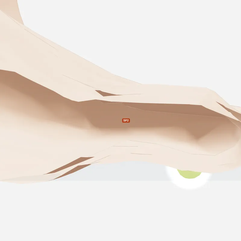 Huyệt Đại Đô — trên da