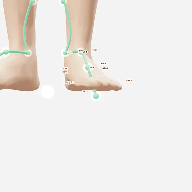 Huyệt Đại Đôn — huyệt lân cận