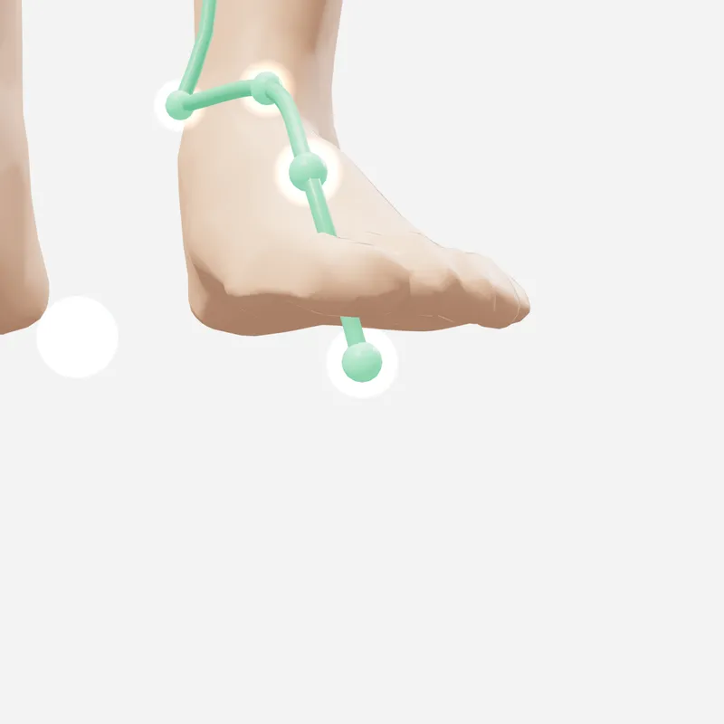 Huyệt Đại Đôn — trên da