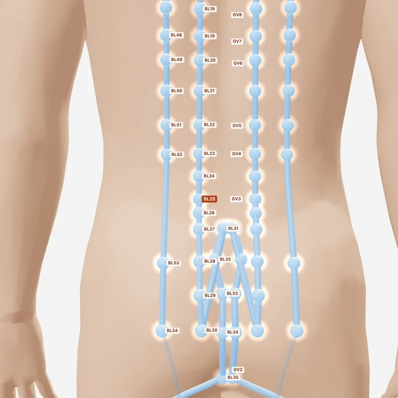 Huyệt Đại Trường Du — huyệt lân cận