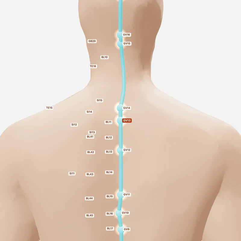 Huyệt Đào Đạo — huyệt lân cận