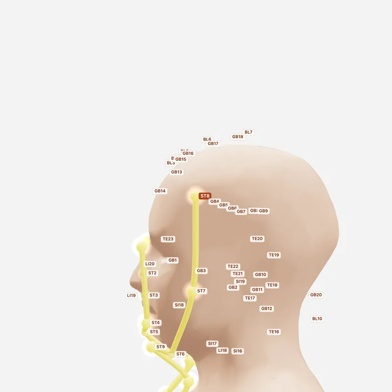 Huyệt Đầu Duy — huyệt lân cận