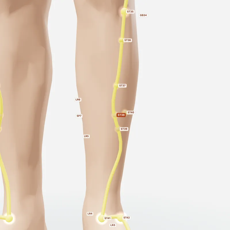 Huyệt Điều Khẩu — huyệt lân cận