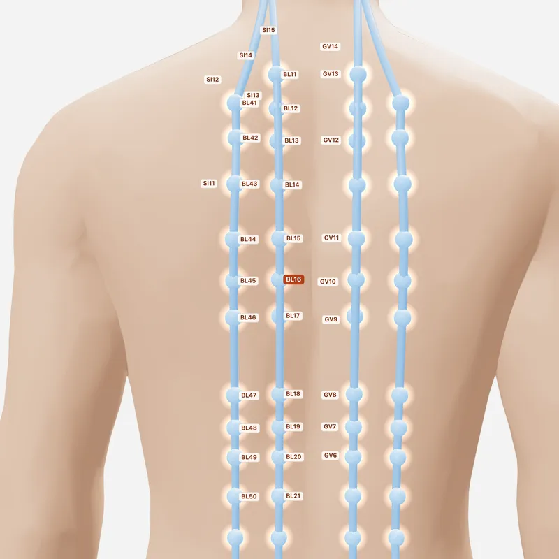 Huyệt Đốc Du — huyệt lân cận