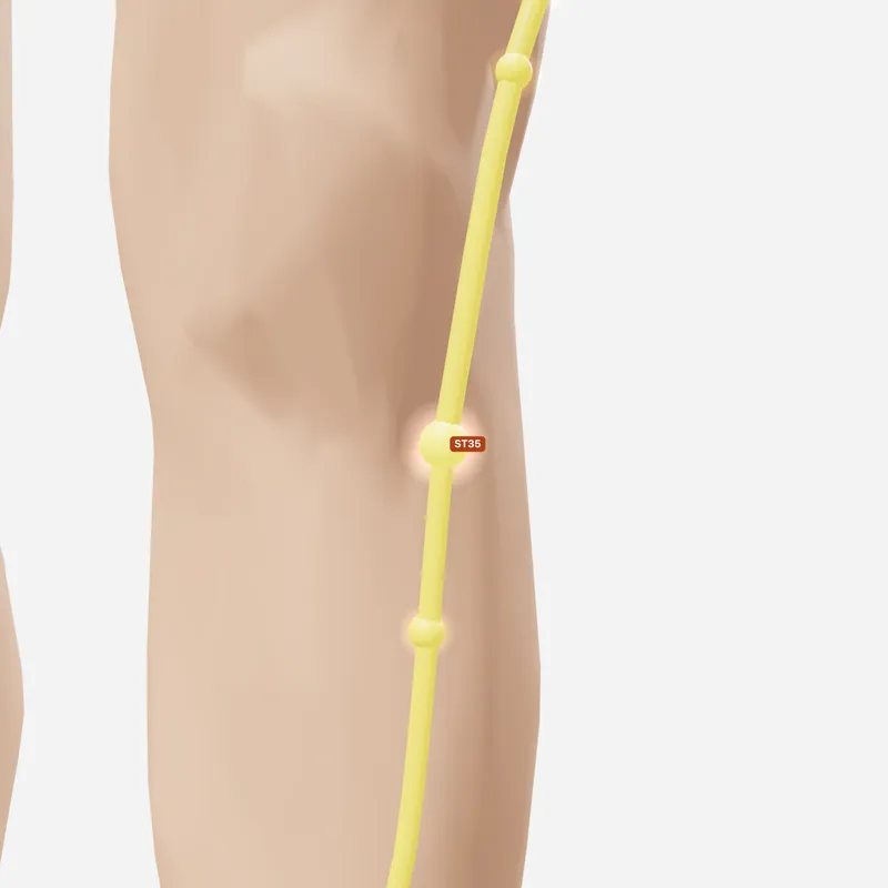 Huyệt Độc Tỵ — trên da
