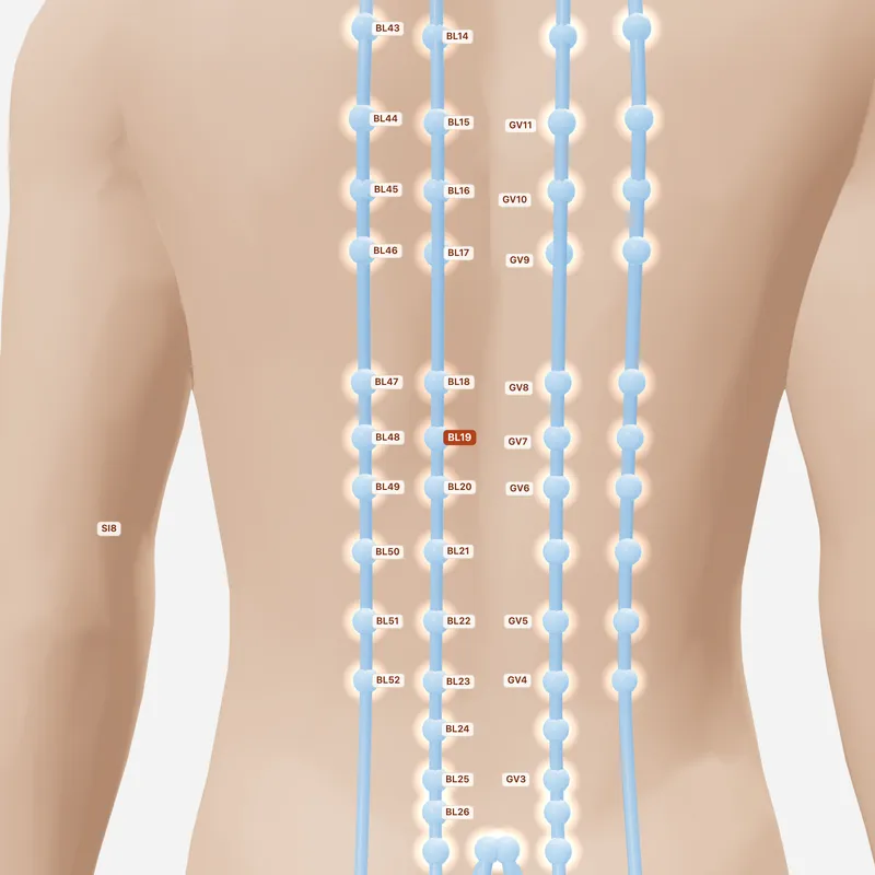 Huyệt Đởm Du — huyệt lân cận