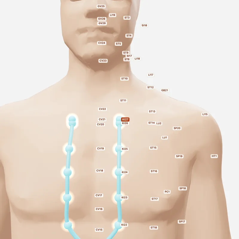 Huyệt Du Phủ — huyệt lân cận