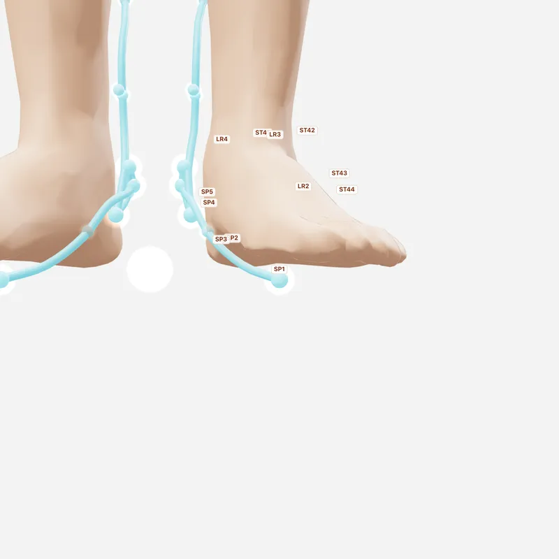 Huyệt Dũng Tuyền — huyệt lân cận