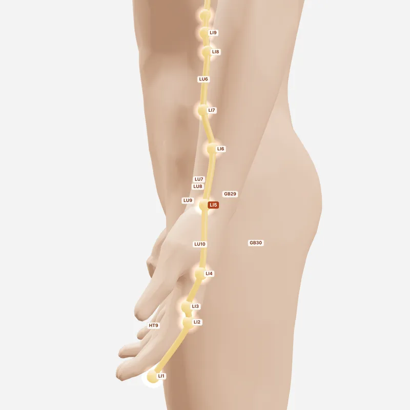 Huyệt Dương Khê — huyệt lân cận
