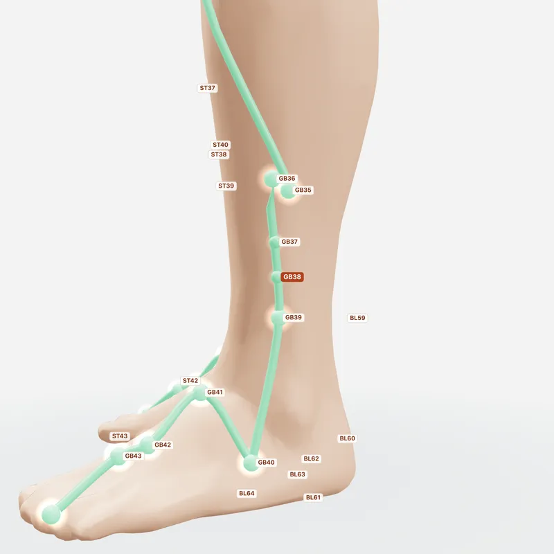 Huyệt Dương Phụ — huyệt lân cận