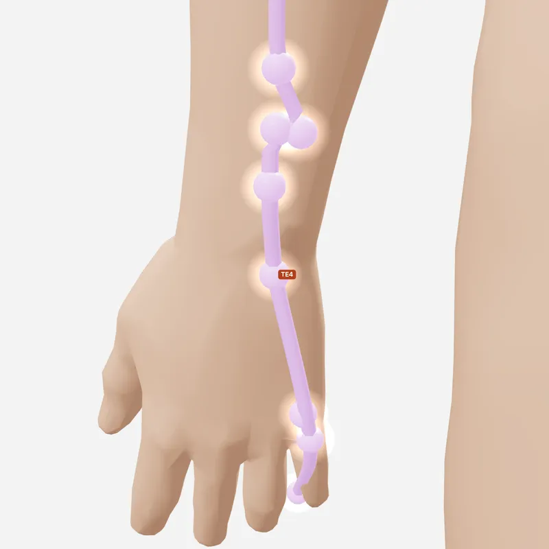 Huyệt Dương Trì — trên da