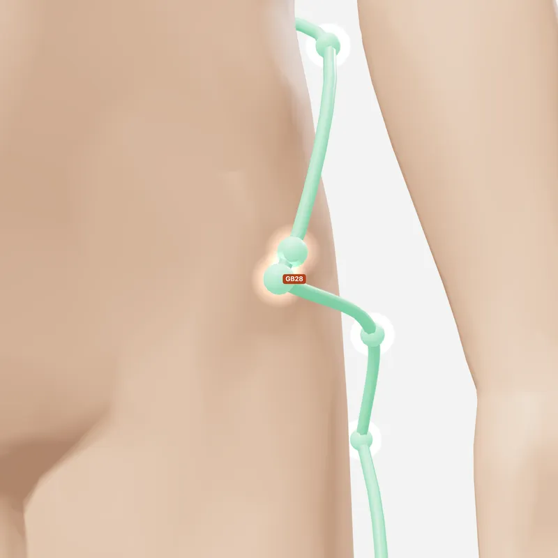 Huyệt Duy Đạo — trên da