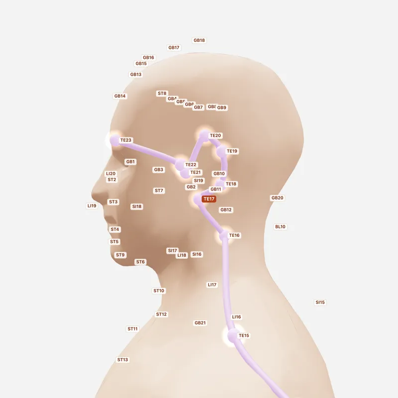 Huyệt Ế Phong — huyệt lân cận