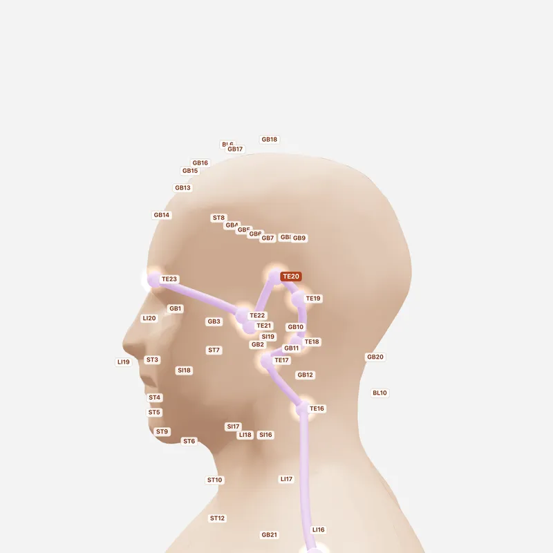 Huyệt Giác Tôn — huyệt lân cận