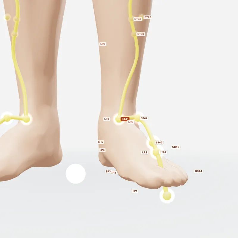 Huyệt Giải Khê — huyệt lân cận