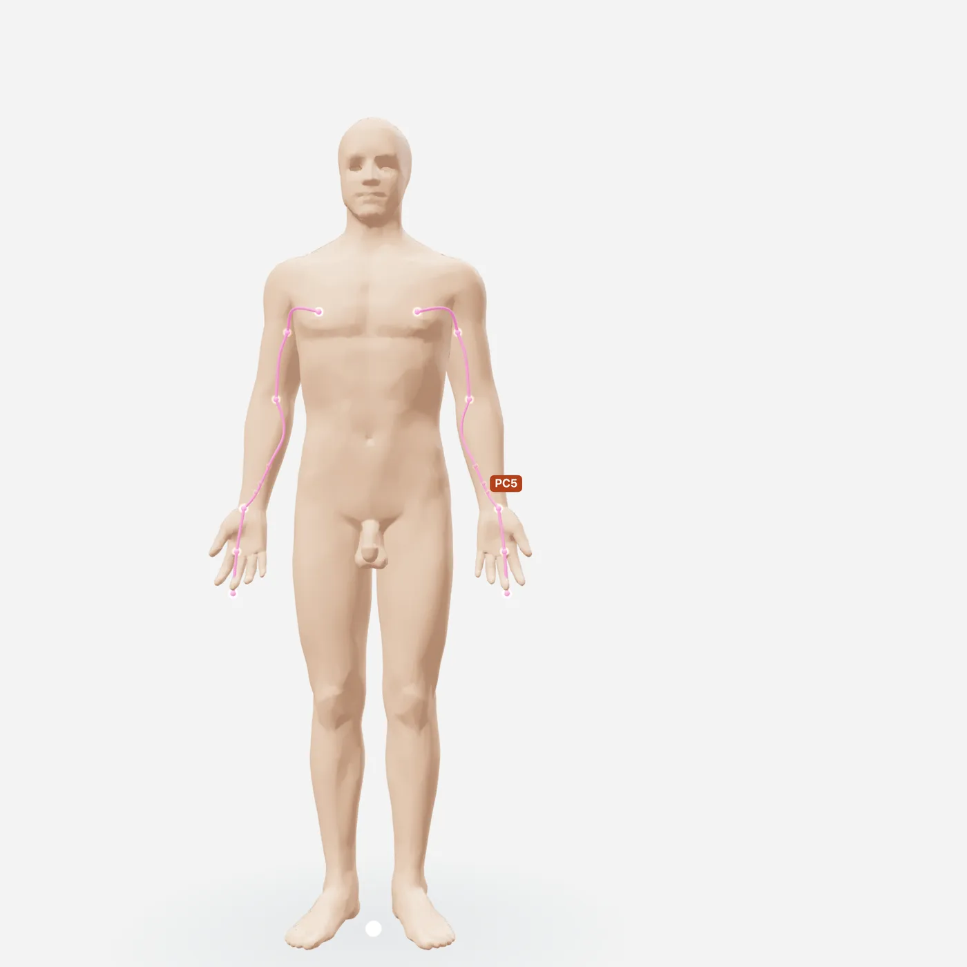 Huyệt Gian Sử — toàn đường kinh