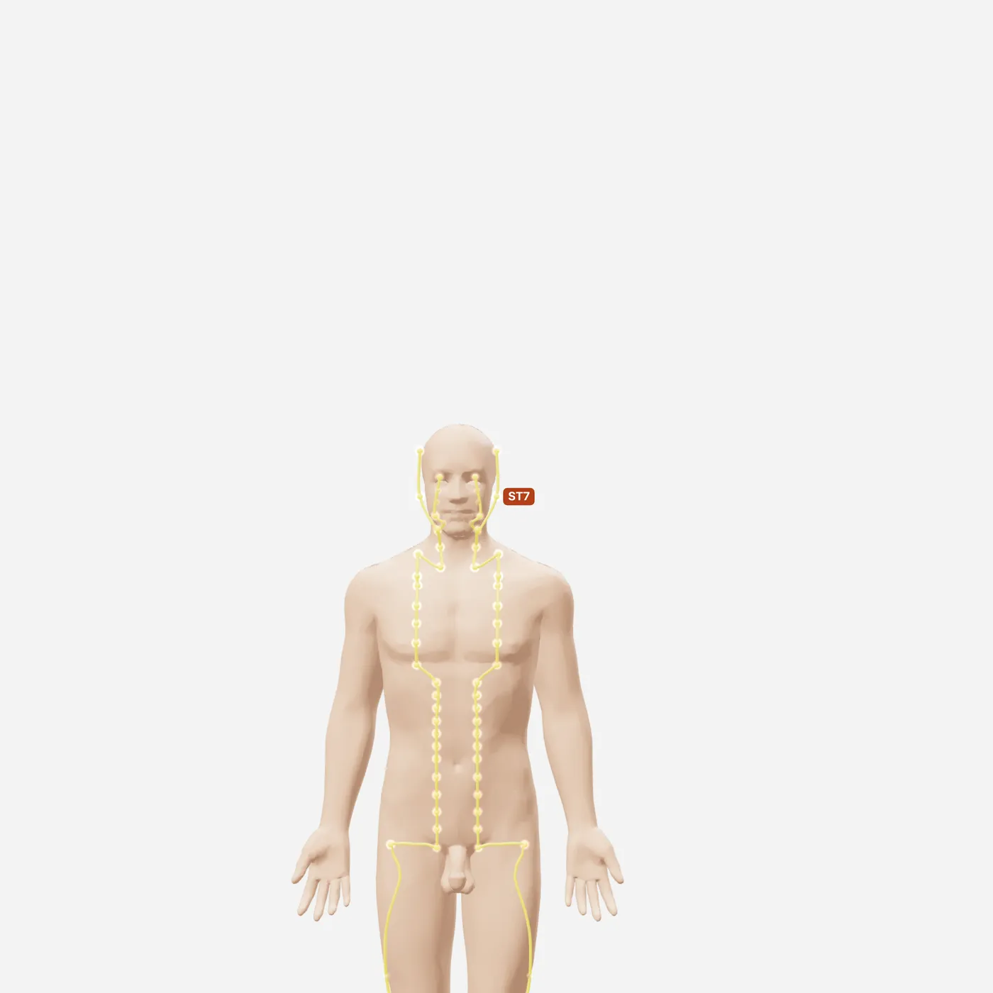 Huyệt Hạ Quan — toàn đường kinh