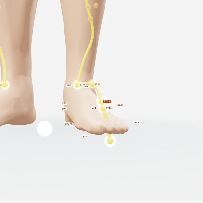 Huyệt Hãm Cốc — huyệt lân cận