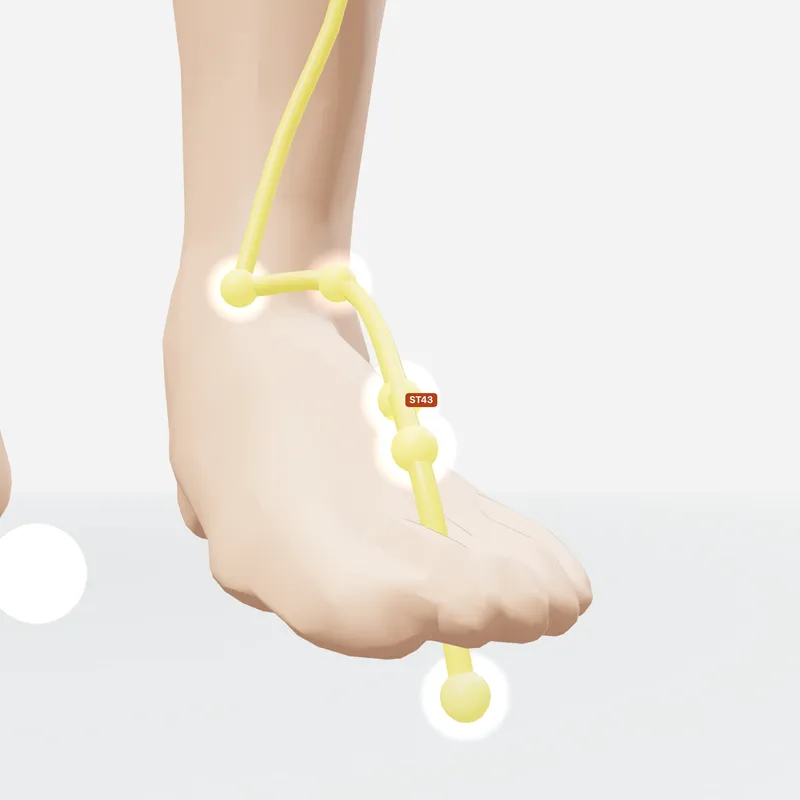 Huyệt Hãm Cốc — trên da