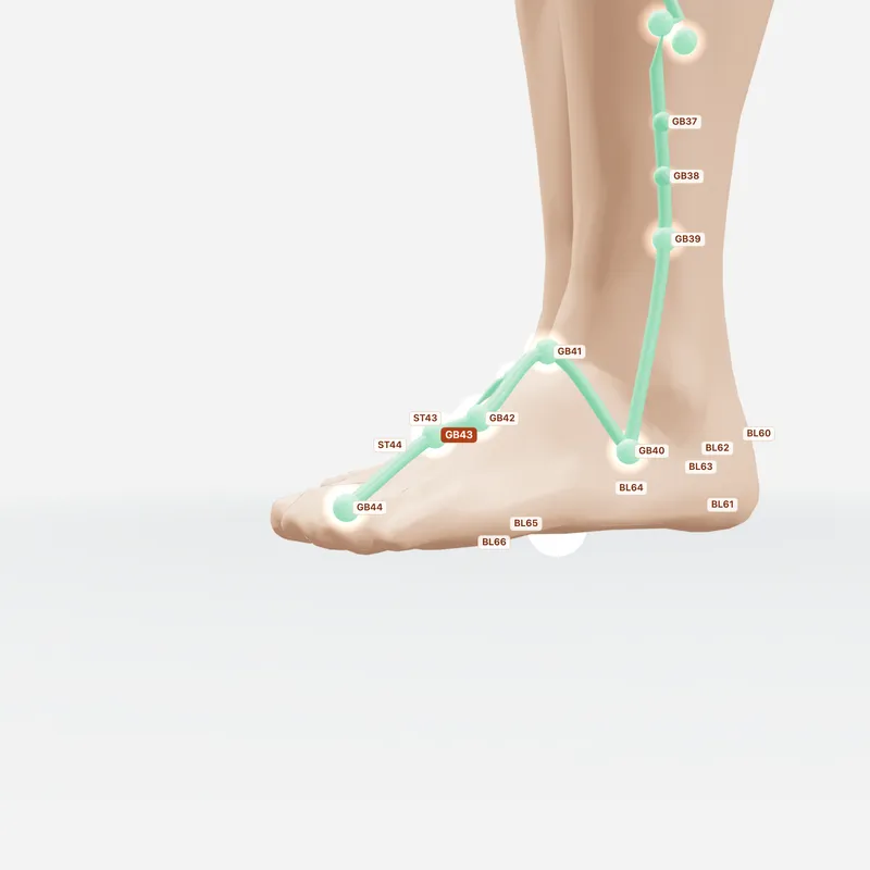 Huyệt Hiệp Khê — huyệt lân cận