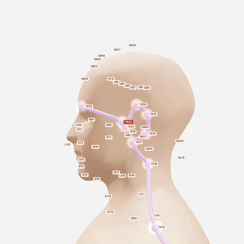 Huyệt Hòa Liêu — huyệt lân cận