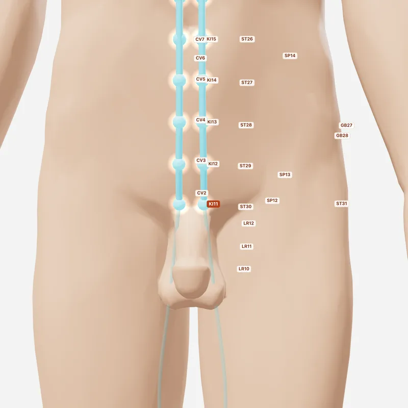 Huyệt Hoành Cốt — huyệt lân cận