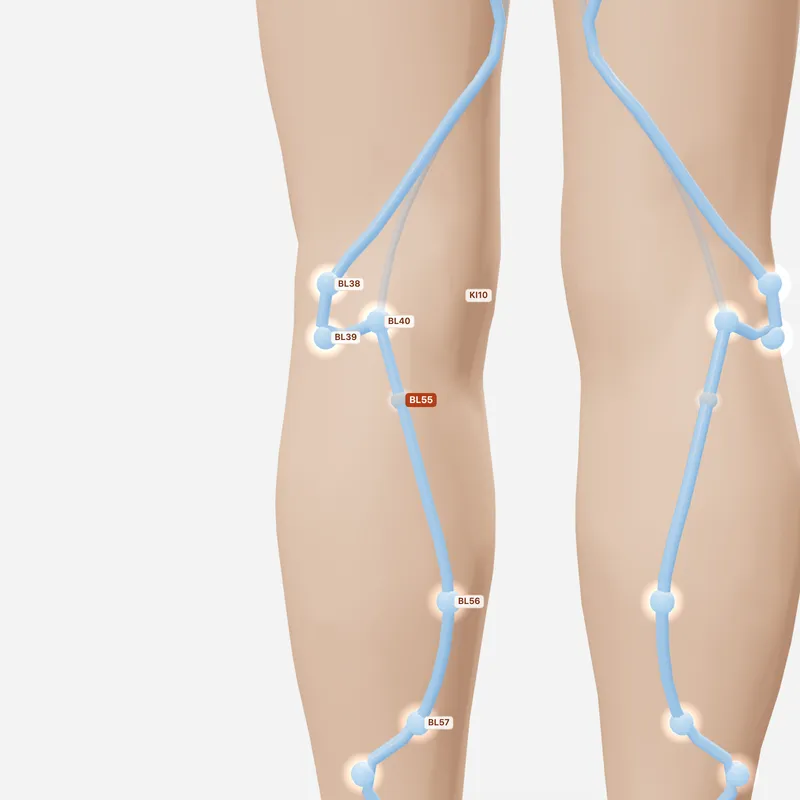 Huyệt Hợp Dương — huyệt lân cận