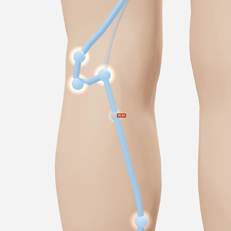Huyệt Hợp Dương — trên da
