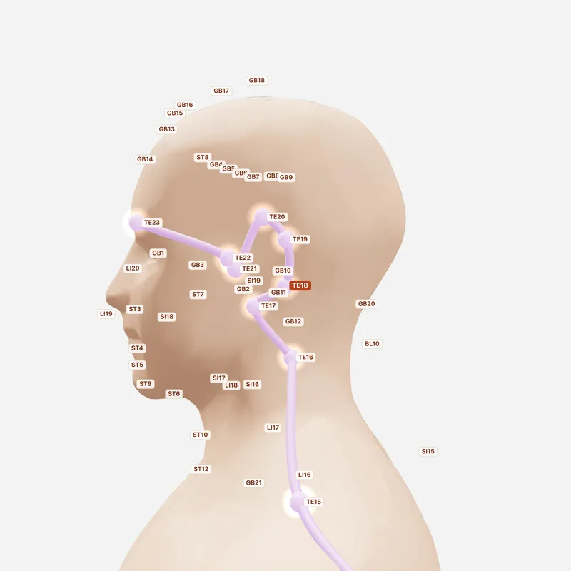 Huyệt Khế Mạch — huyệt lân cận