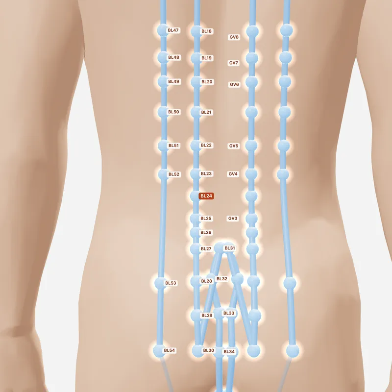 Huyệt Khí Hải Du — huyệt lân cận